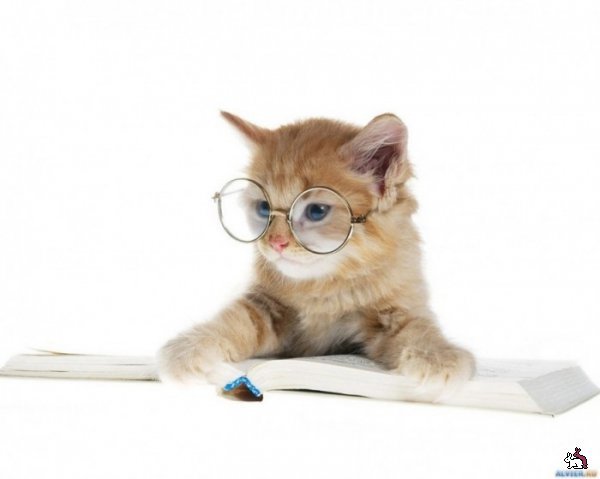 Наталья Гулая