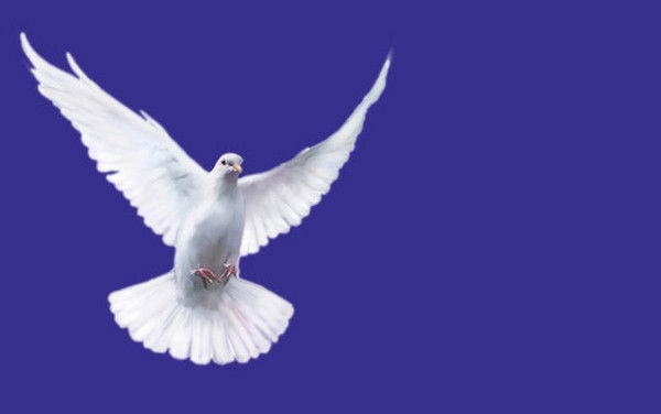 Моу Сош № 67