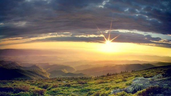 Нелли Агавелова