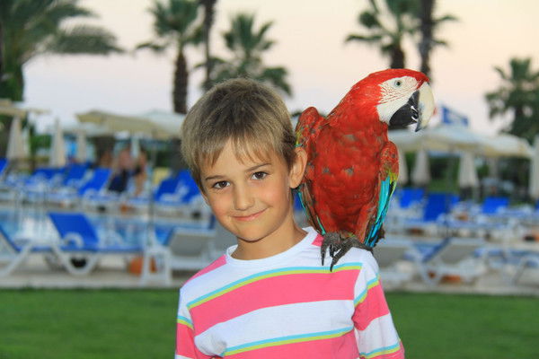 Егор Шкодов