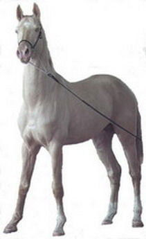 Валентин Валентин