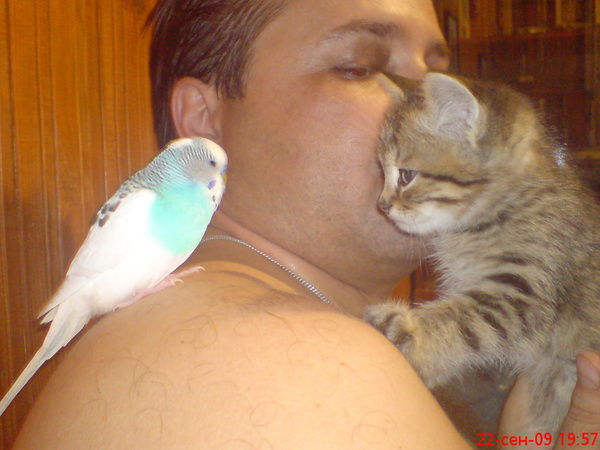 Александр Запорожец