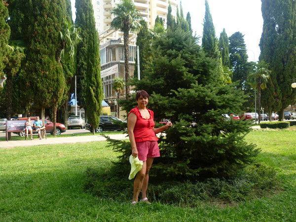 Лариса Волосенкова