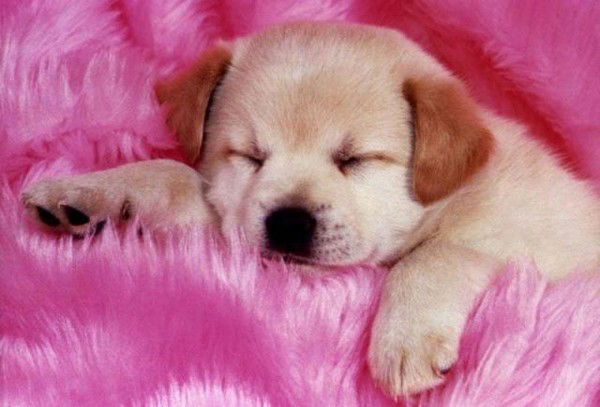 Сергей Масич