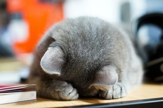 Камила Шарипова