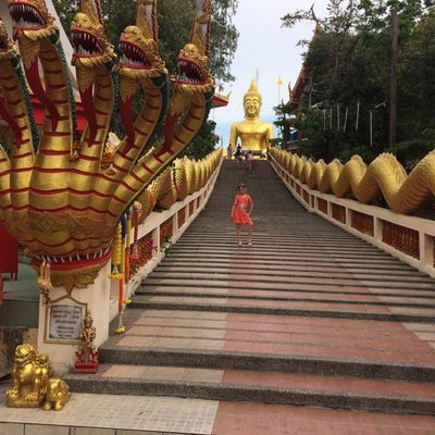 Доминика Евдокимова