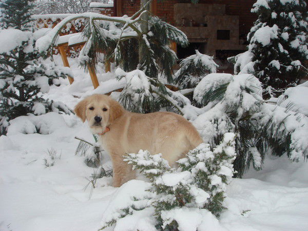 Надежда Смирнова