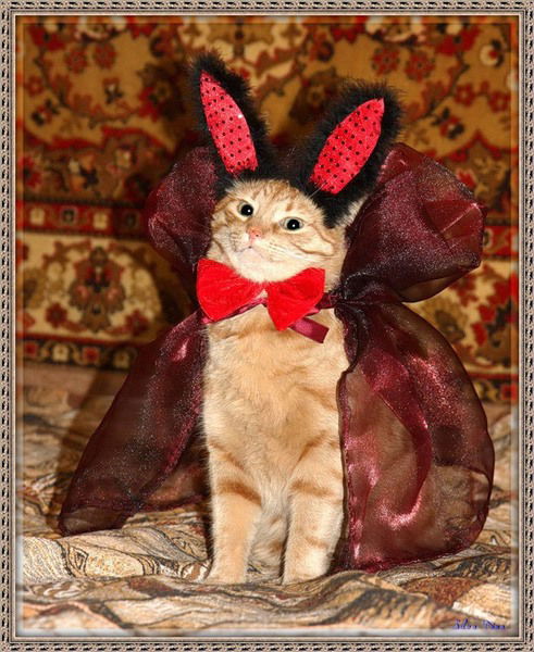 Любовь Михалина