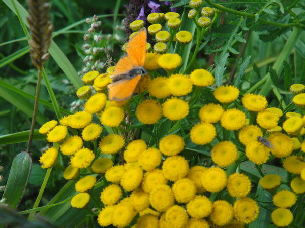 Юлия Андрейчикова