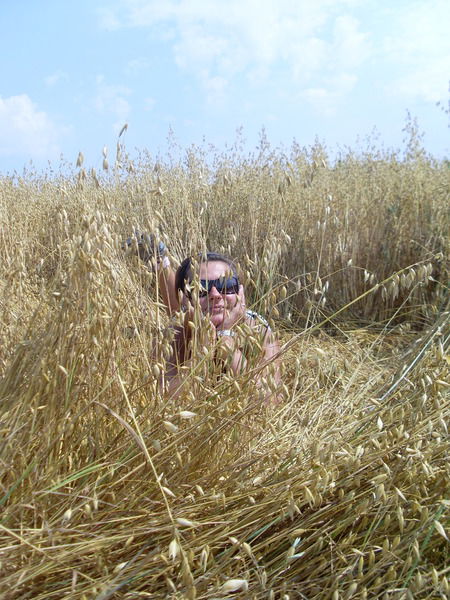 Елена Антипова