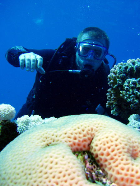 Николай Зохан