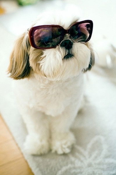 Нина Хацкевич