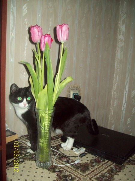 Галина Криницына