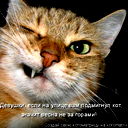 Игорь Старовойтов