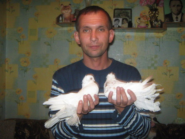 Александр Львов