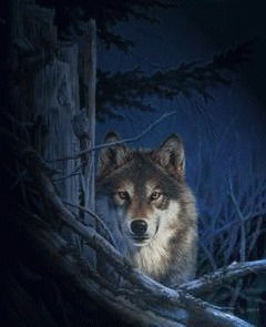 Тарасов Олег