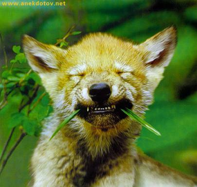 Татьяна Янковская