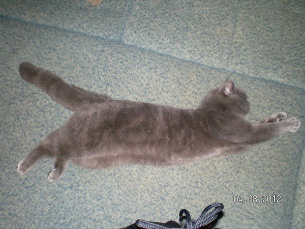 Наталья Соловьёва