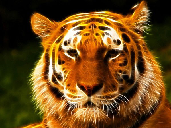 Тагир Абдулин