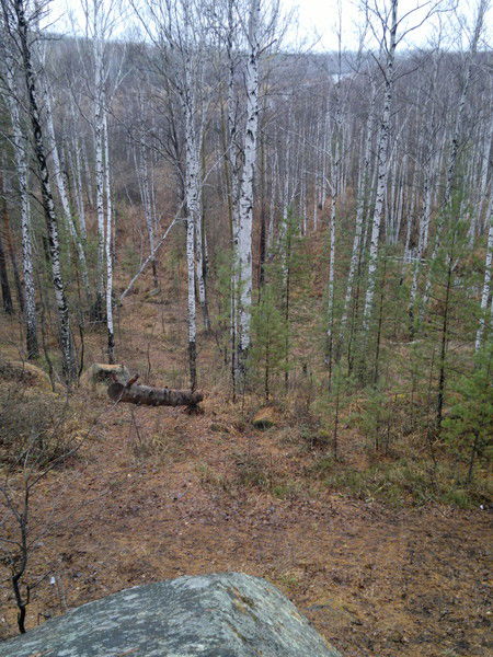 Максим Исаев