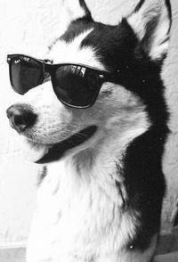 Александр Семёнов