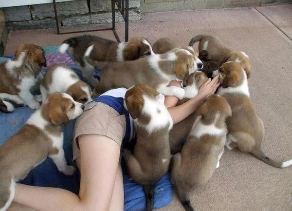 Aкмоншак Aйтанова