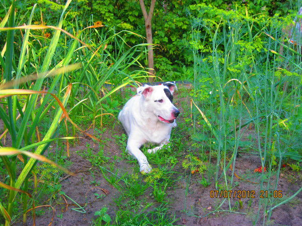 Татьяна Тарасова