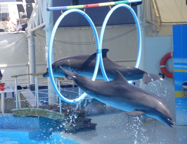 Аделя Усманова