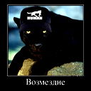Толян .