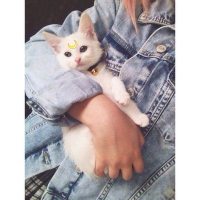 Даша Ливанова