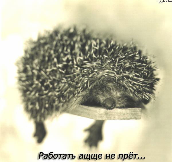 Екатерина Худынцева