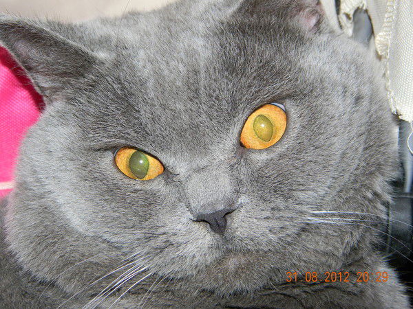 Сергей Андреев