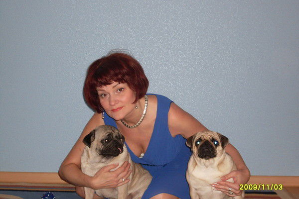 ???????????? ???????????