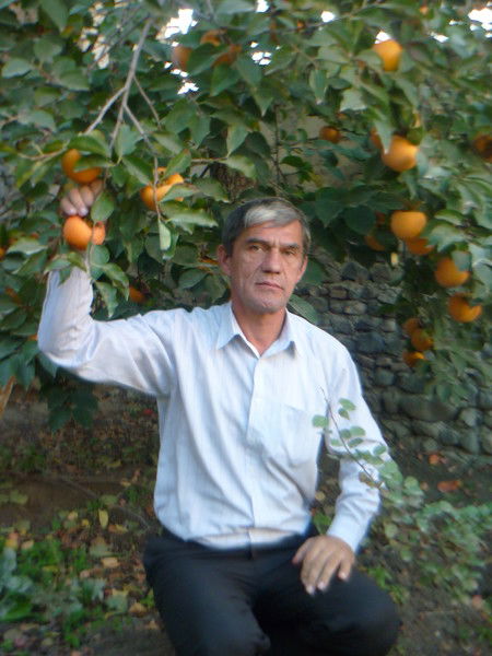 Asif Quseynov
