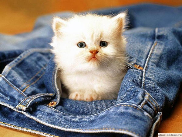 Наталья Галиновская