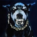 Роман Колмаков