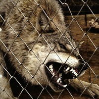 Дима Зайцев