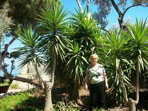 Наталия Тупало