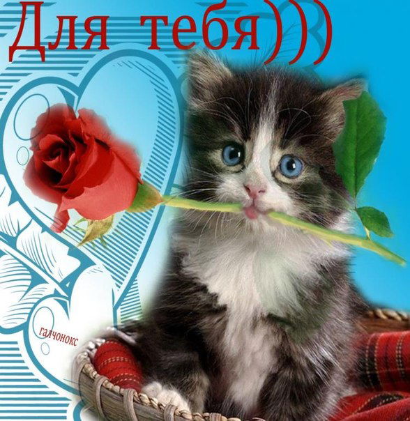 Александр Орехов