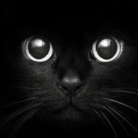 чем старше я становлюсь тем моложе и бесшабашнее себя ощущаю. Смотреть фото чем старше я становлюсь тем моложе и бесшабашнее себя ощущаю. Смотреть картинку чем старше я становлюсь тем моложе и бесшабашнее себя ощущаю. Картинка про чем старше я становлюсь тем моложе и бесшабашнее себя ощущаю. Фото чем старше я становлюсь тем моложе и бесшабашнее себя ощущаю
