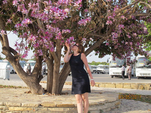 Елена Гриценко