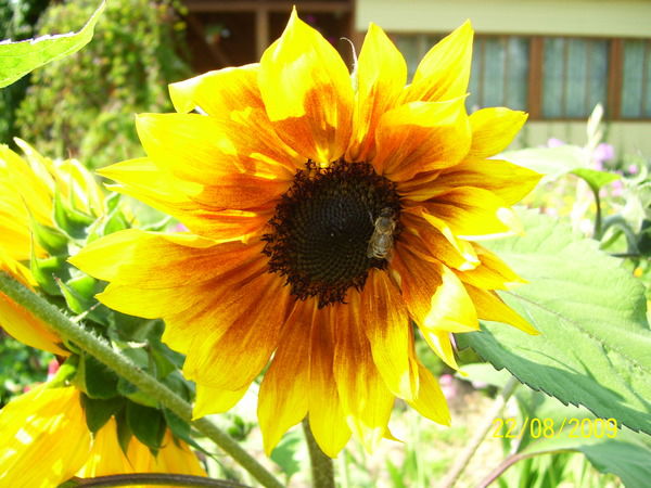 Татьяна Бурыкина