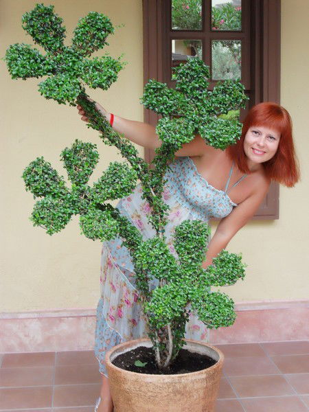 Наталья Солнце