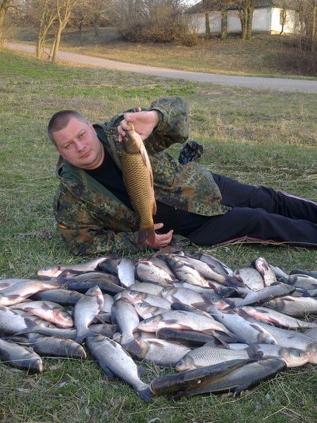 Андрей Гулякевич