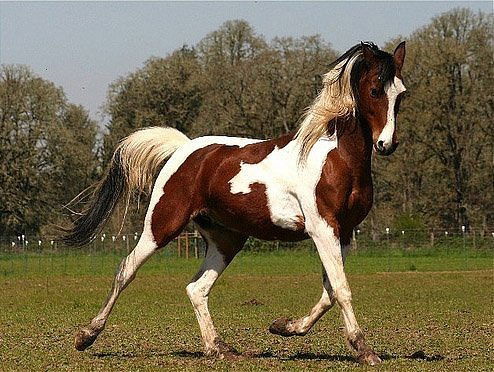 Влада Озерова