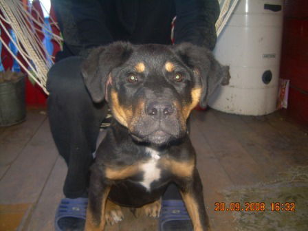 Борис Ельцин