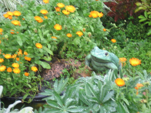 Юлия Толстова