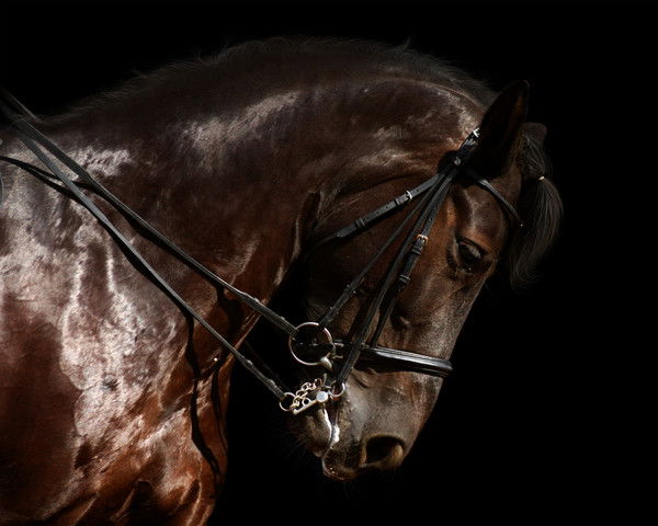 Сергей Филатов