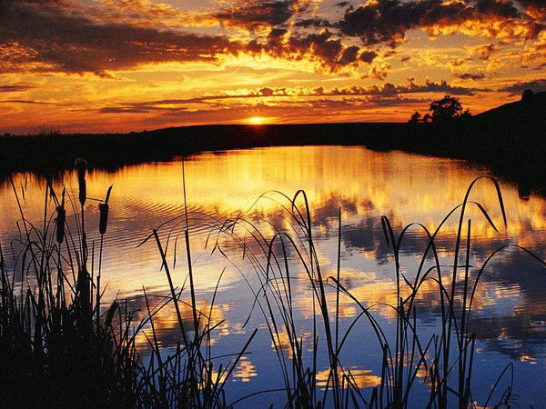 Галым Оспанов