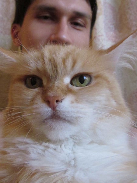 Денис Попов